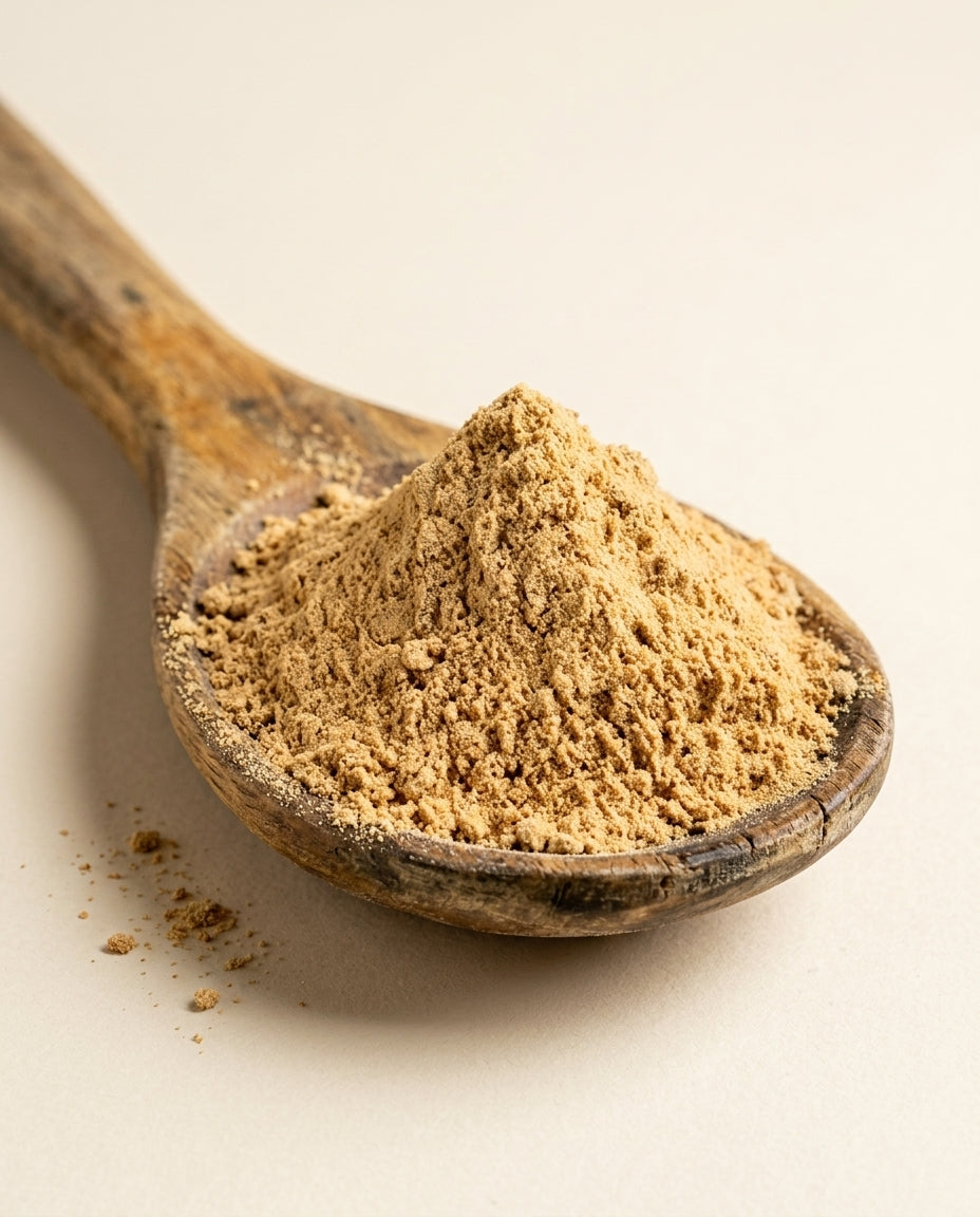 Polvo de dátil bio