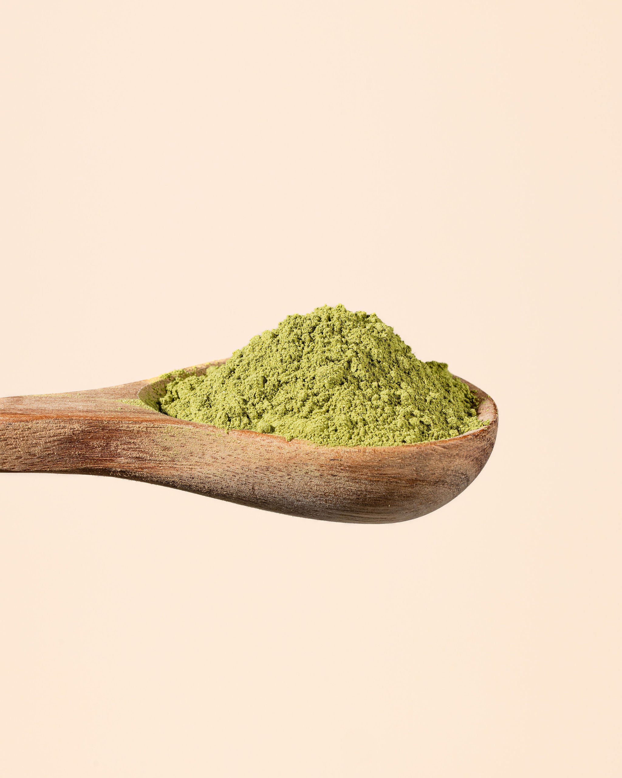 Moringa en polvo bio