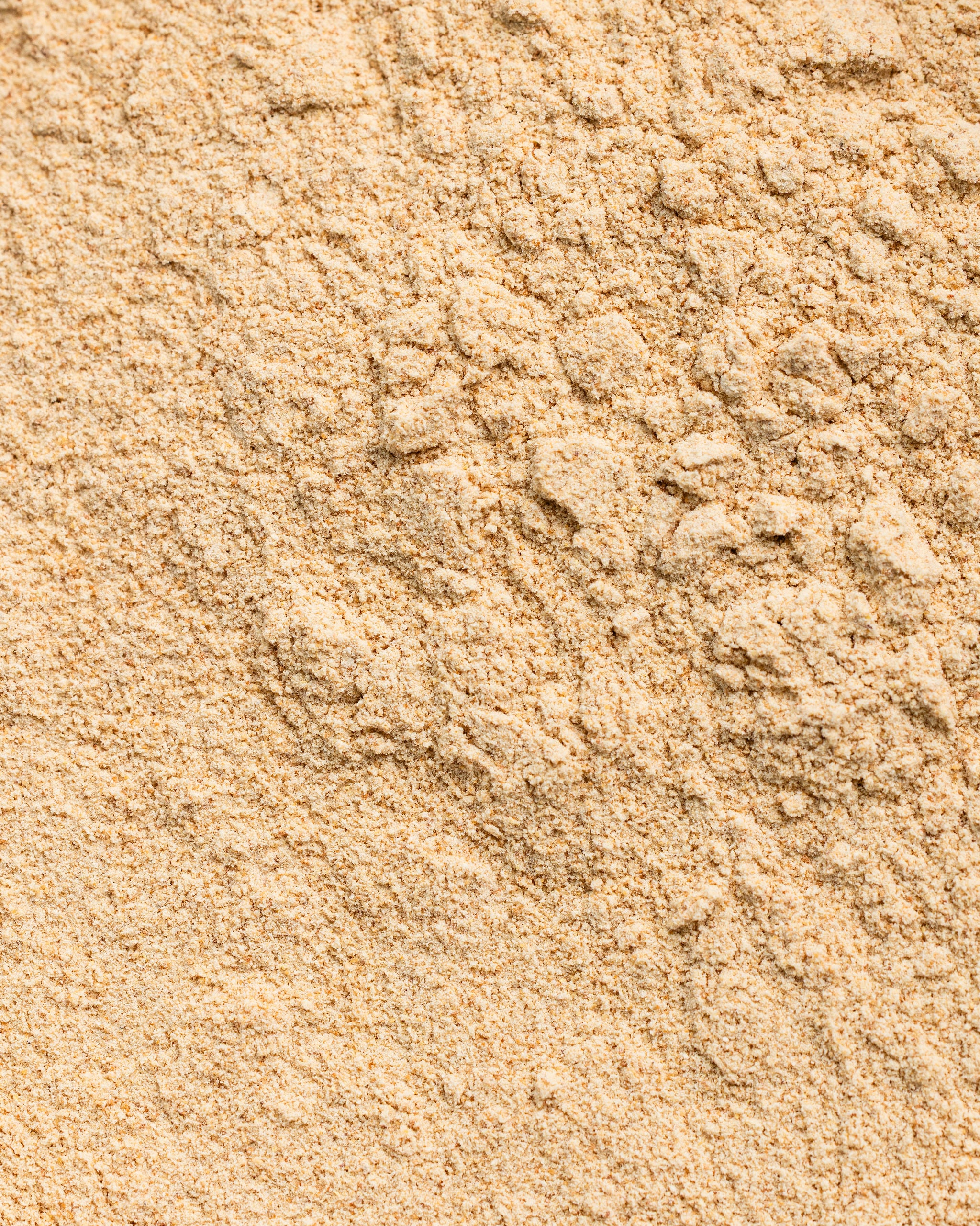 Polvo de cacahuete desgrasado bio