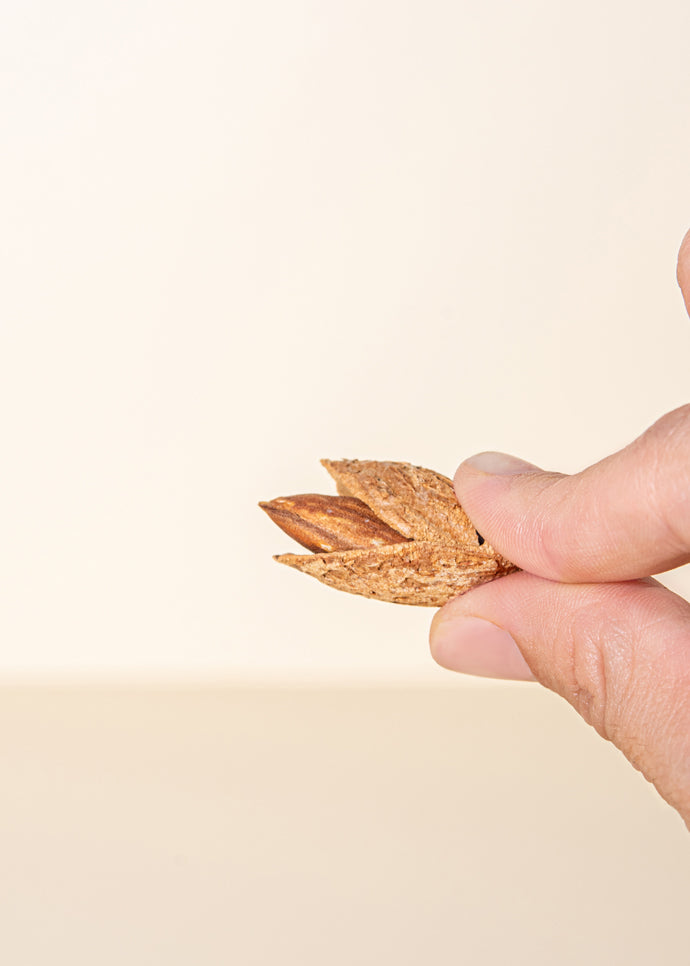 Almonds in shells