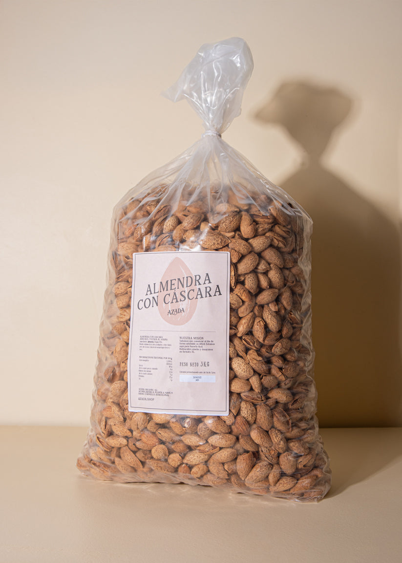 Amandes en coques 400g