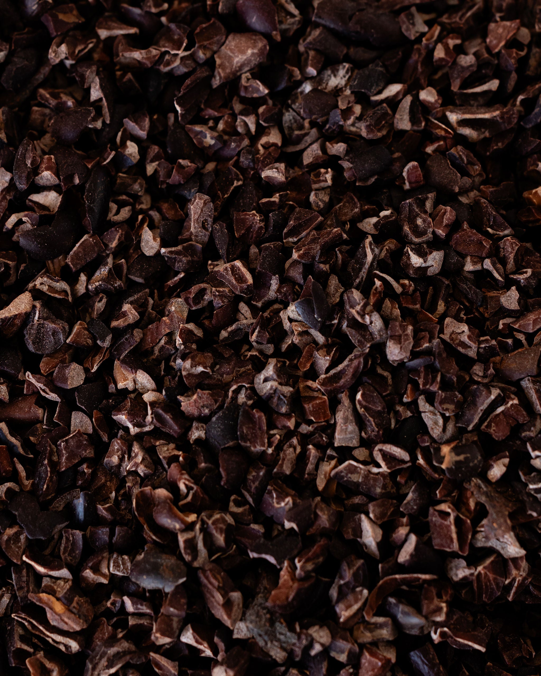 Cocoa nibs