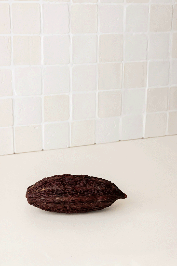 Nibs de cacao