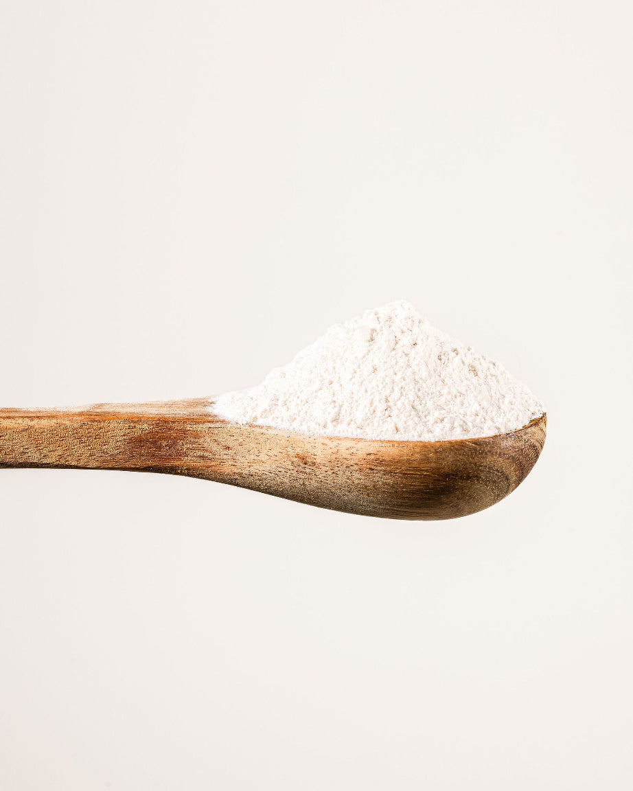 Psyllium en polvo bio