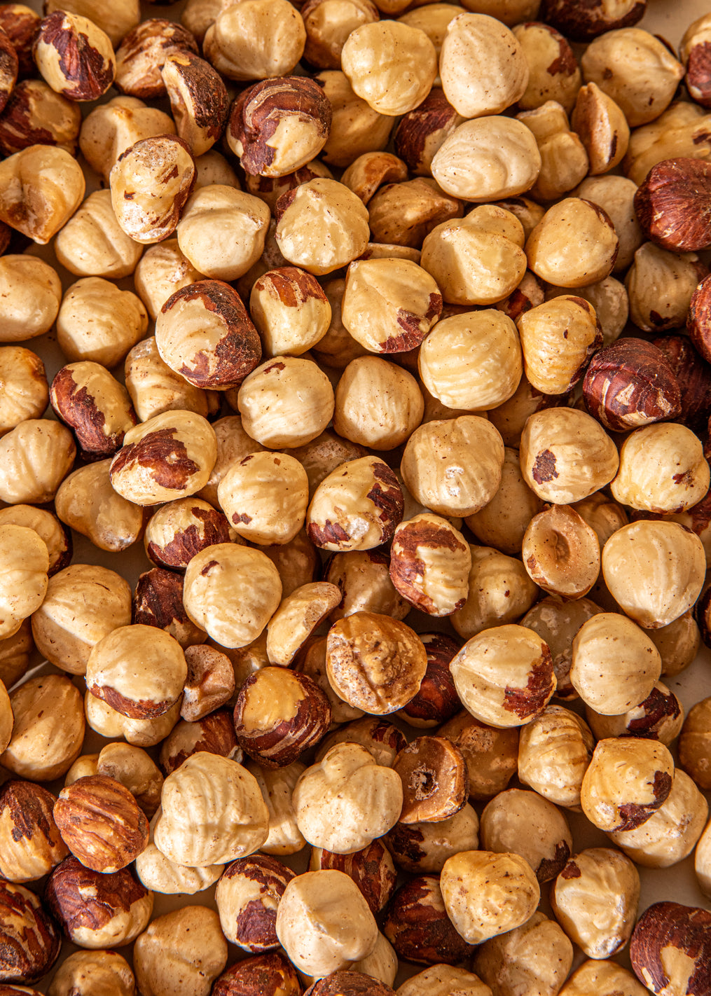 Roasted hazelnuts