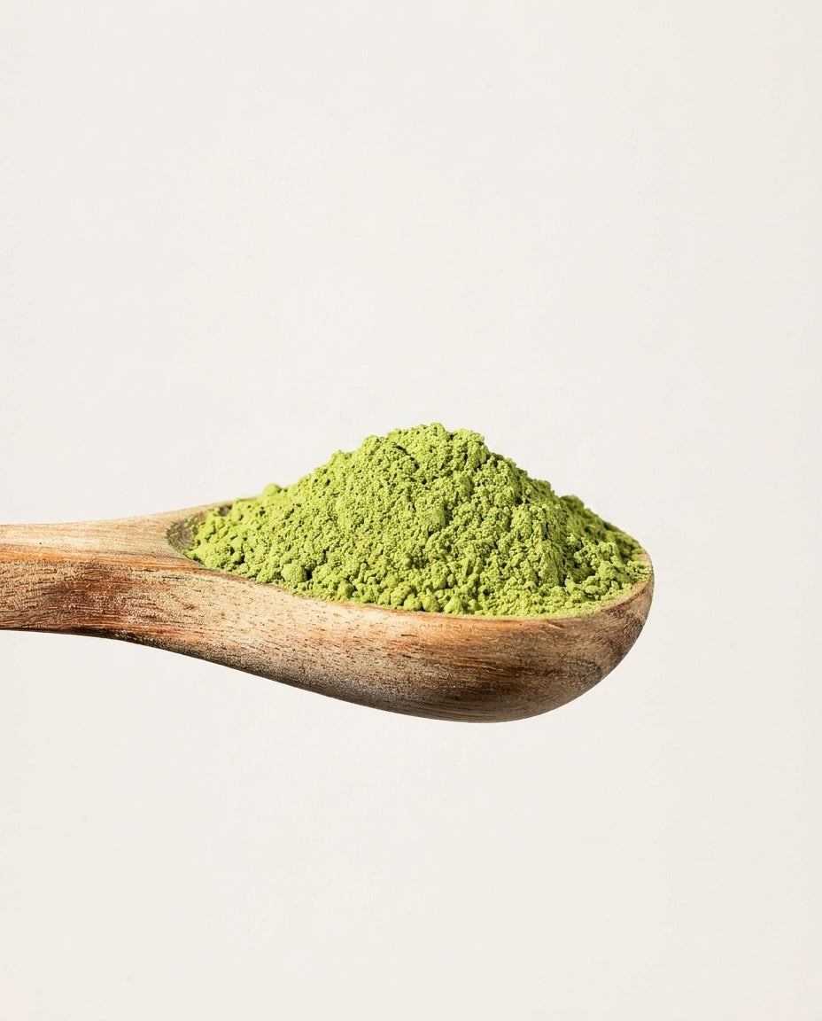 Moringa en polvo bio
